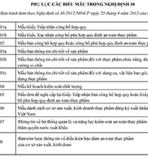 Phụ lục các biểu mẫu kèm theo nghị định 38